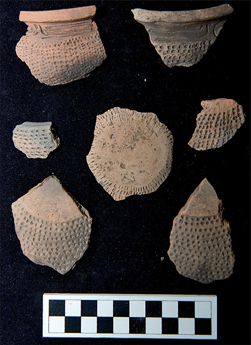 Sample of ceramics from Sucuriju site guarded at RTMS. Photo: Nigel Smith, 2015.