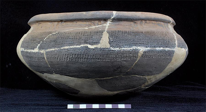 Sarac&aacute; vessel from Sucuriju site: restricted vessel with reinforced rim, grooved and punctuated decoration. Source: Ara&uacute;jo, 2015.