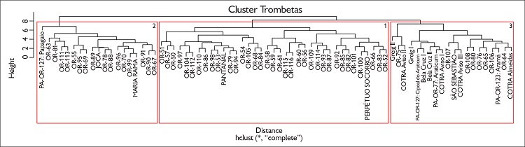 An&aacute;lise hier&aacute;rquica de agrupamento (cluster) para a amostra de n = 76 pontos de s&iacute;tios associados &agrave;s doze vari&aacute;veis ambientais do modelo preditivo. O cluster 3, onde est&aacute; inserido o s&iacute;tio Cipoal do Araticum, foi selecionado como amostra (n = 20) para a constru&ccedil;&atilde;o do segundo modelo, com o intuito de localizar &aacute;reas semelhantes aos s&iacute;tios deste grupo na regi&atilde;o do baixo curso dos rios Nhamund&aacute; e Trombetas.