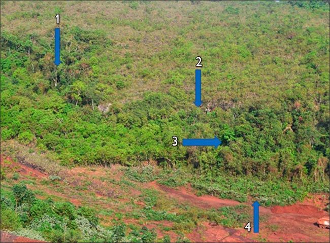 Localização dos sítios do Complexo Arqueológico Bacaba: 1) Bacaba III (possível sítio cerimonial onde foram encontrados vasilhames cerâmicos e ponta de projétil); 2) Bacaba I (sítio doméstico onde havia restos de sementes em estruturas de combustão e muito material lítico); 3) Bacaba II (área antropizada – capão com plantas úteis – onde foram encontrados fragmentos cerâmicos; 4) área desmatada onde havia fragmentos cerâmicos e afloraram pés de mandioca silvestre. Foto: Marcos P. Magalhães (2018)