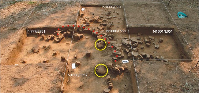Estrutura 1 no montículo I do sítio Novo Engenho Velho. O pontilhado em vermelho indica a forma da estrutura, composta por trempes de argila, blocos de laterita e fragmentos de cerâmica. Os círculos amarelos mostram exemplos de fragmentação in situ das vasilhas.
