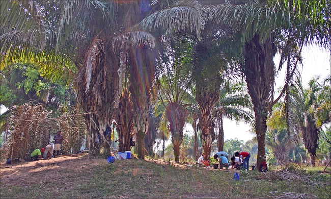 Escavações no montículo II do sítio Novo Engenho Velho.