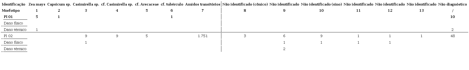 Grãos de amido presentes nos pães-de-índio 01 e 02.