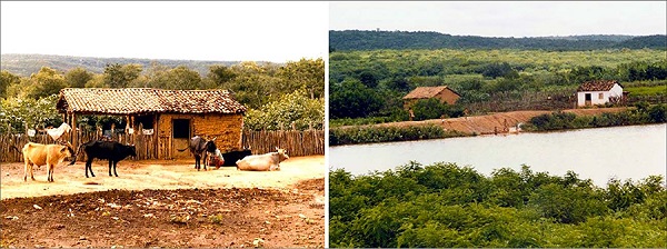 Paisagens da comunidade do antigo Zabelê, em 1985 e 1986, em terras que hoje integram a área de preservação permanente do PNSC.