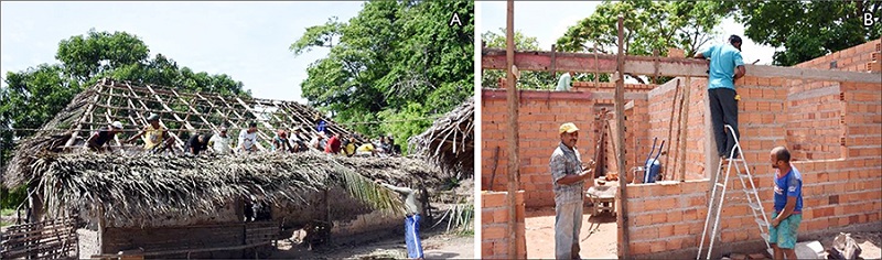 A) Mutirão de troca da cobertura de palha de agregado em Caxias, Maranhão; B) empreitada global em aldeia indígena em Bom Jardim, Maranhão. 