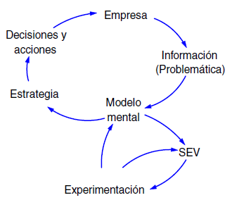 Papel del SVE en la estrategia.