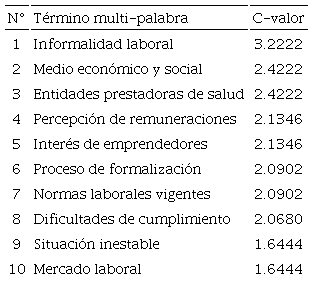 Términos con mayor valor semántico para explicar su concepción sobre la informalidad