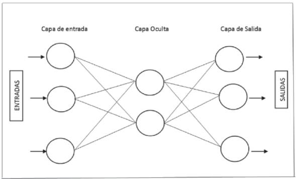 Arquitectura de un Perceptr&oacute;n multicapa.