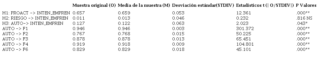 Resultados Estimación por Bootstrapping
