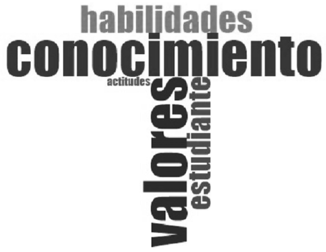 Términos más mencionados por el grupo focal