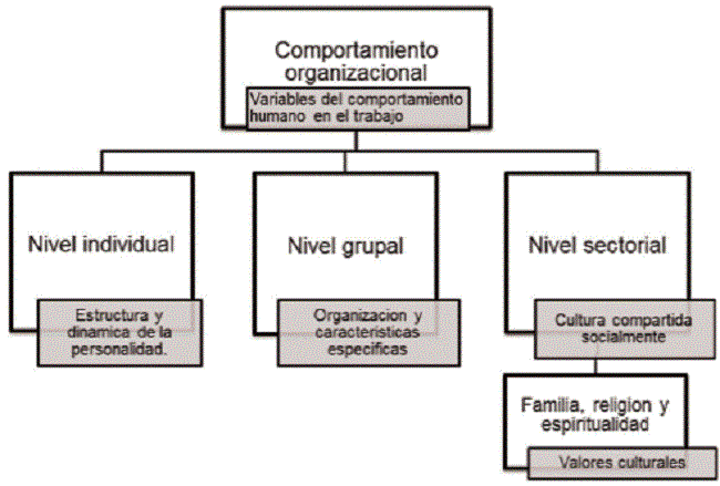 Estructura del Comportamiento humano y el trabajo.