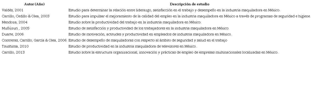 Estudios emp&iacute;ricos realizados sobre desempe&ntilde;o laboral en M&eacute;xico.