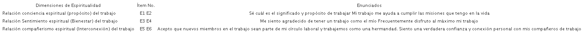 Instrumento de medici&oacute;n - valor espiritualidad