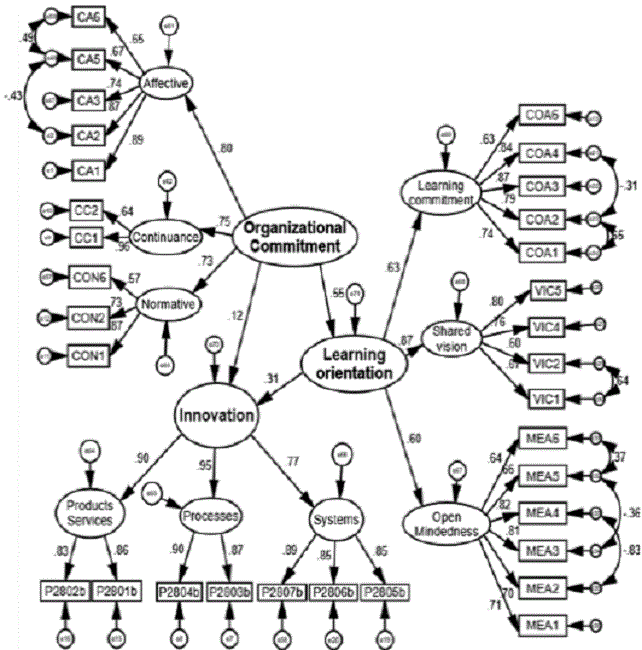 Path analysis of structural model
