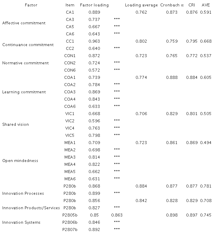 Reliability and convergent validity of the measurement scale.