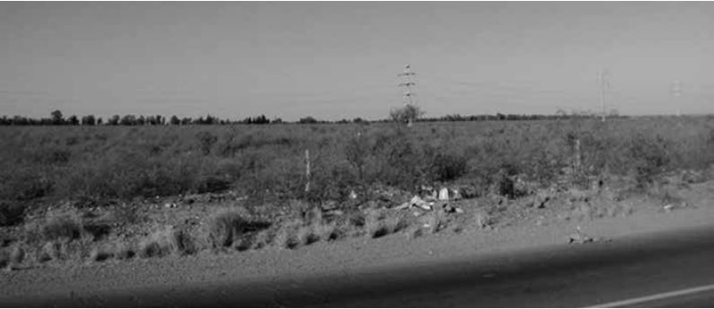 Basural en suelos incultos y tendidos eléctricos aéreos en la ruta provincial 14
de Barrancas-Maipú, Mendoza.