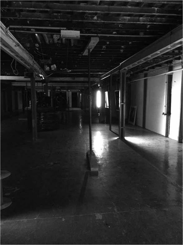 Paris - 2015, Johanna Orduz