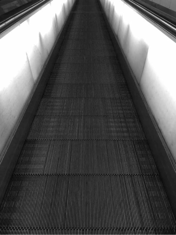 Paris - 2015, Johanna Orduz