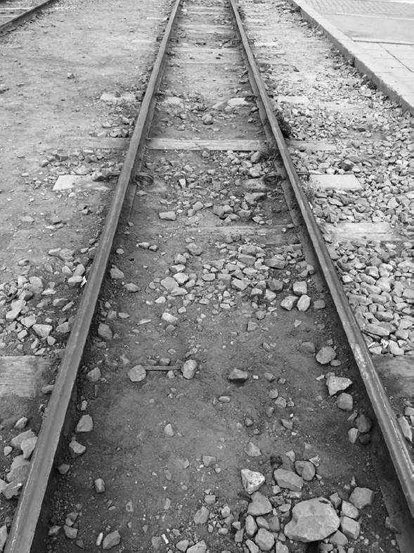 Cajicá - 2016, Johanna Orduz