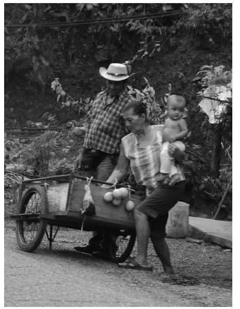 El Doce - Puerto Valdivia