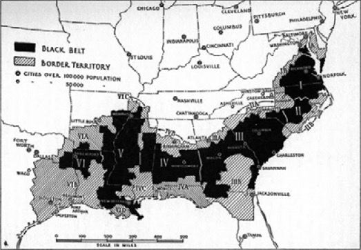 El Black Belt8, zona propuesta para la república afroamericana