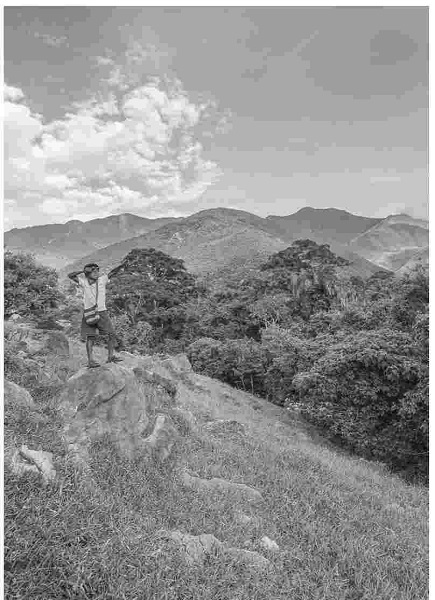 2016 - Cazando pájaros en la Serranía de Perijá 