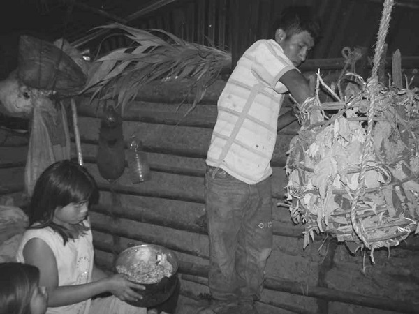 Poniendo Tamuya para ahumar y fermentar