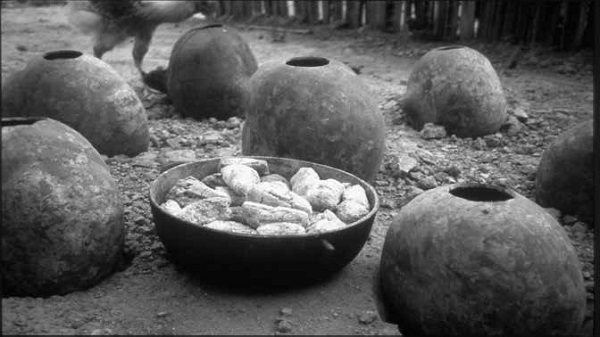 tamuya  seca para la preparación de la chicha de maíz (Irapa Yukpa, Yurmutu),