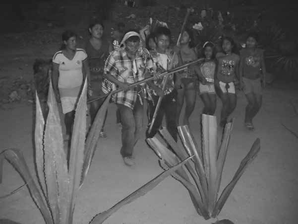 baile de los niños frente a las plantas de agave (Sokorpa Yukpa).