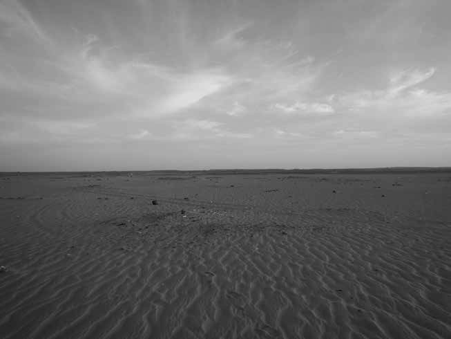 Huellas de una daira desaparecida de Dajla cuyo movimiento comenzó en 2012. En un principio,  las dunas de arena se consideraban zonas más seguras, ya que era más fácil cavar refugios. Sin embargo, las dunas de arena se movieron rápidamente  y por ello se construyeron  estructuras  de las casas con ladrillos de arena.  La daira fue reconstruida algunos kilómetros al norte.