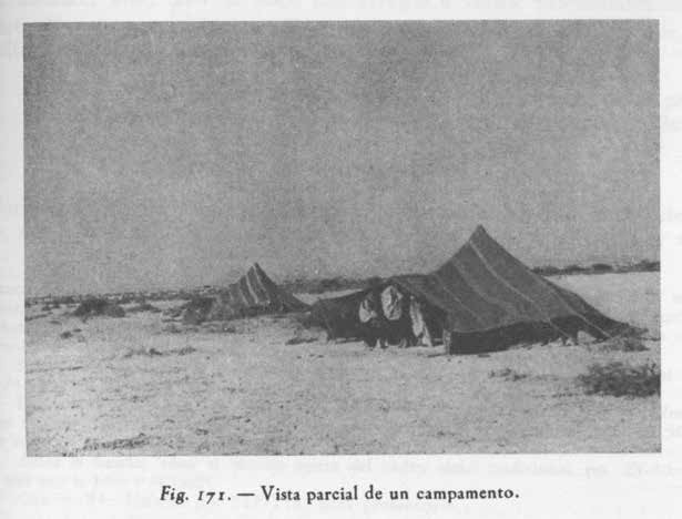 Vista parcial de un Frīq. Fuente: Caro Baroja (1955). Estudios saharianos. Instituto de Estudios Africanos.