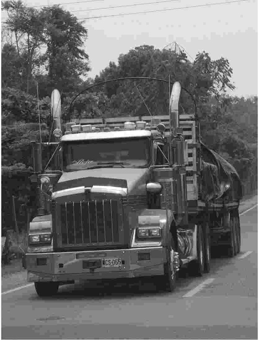 Otros nómadas. Vía cruce de Puerto Parra - Puerto Berrío
