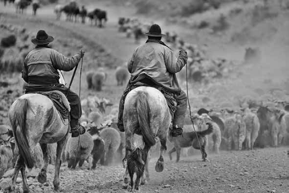 puesteros en movimiento Fuente Martín Muñoz Photography