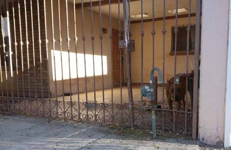 Vivienda donde se encontraba encerrada la perra.
