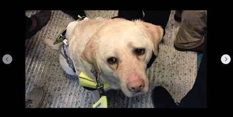 captura de pantalla de la foto extraída del post en Facebook.