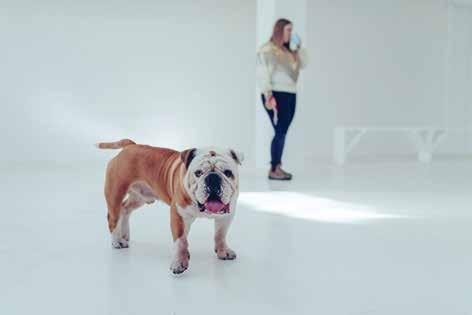 Sé tu perro, evento público, Galería Karst, 2016..