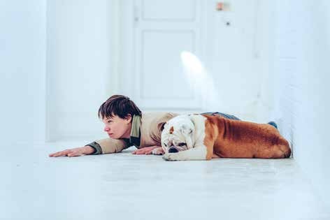 Sé tu perro, evento público, Galería Karst, 2016.