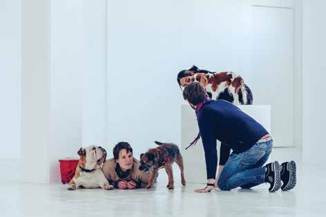 Sé tu perro, evento público, Galería Karst, 2016.