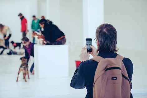 Sé tu perro, evento público, Galería Karst, 2016.