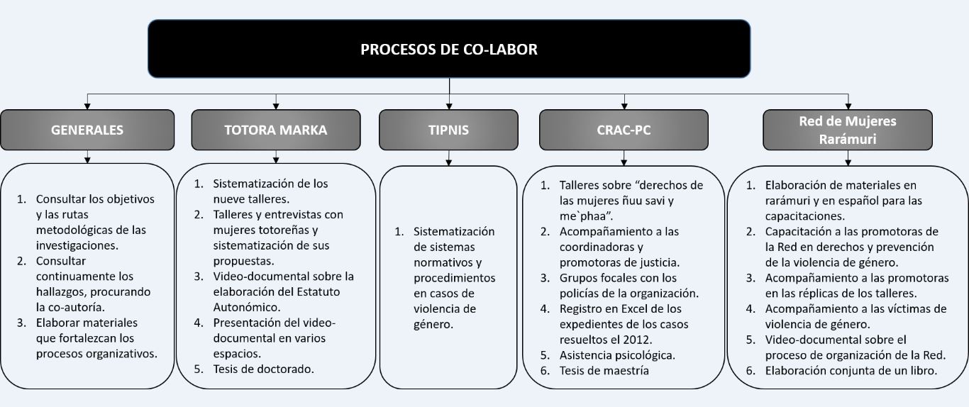 Procesos de co-labor en los cuatros casos de estudio.