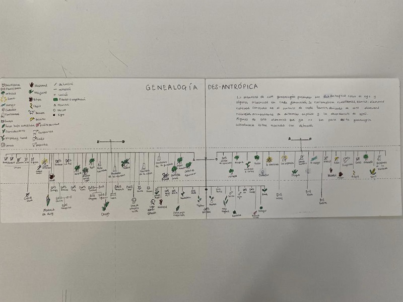 Registro fotogr�fico del material realizado por la estudiante.