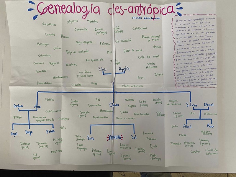 Registro fotogr�fico del material realizado por la estudiante.