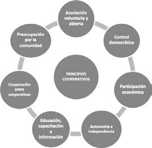 
                        Principios cooperativos. 
                    