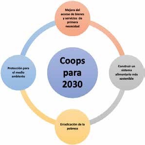 reas de accin del cooperativismo para contribuir con los ODS.