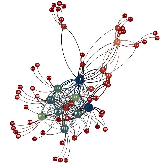 Enterprise network.