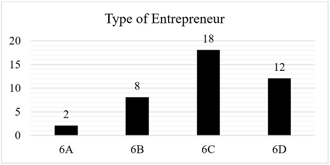 Type of Entrepreneur. Code: Reproduction (6A) - Imitation (6B) - Valuation (6C) - Adventure (6D).