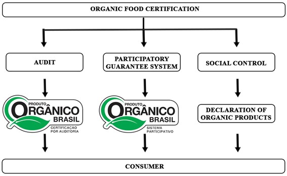 Types of organic certification in Brazil. Source: Based on information from the Brazilian Ministry of Agriculture, Livestock and Supply (Brasil, 2019a).
