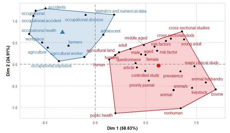 Conceptual structure map.