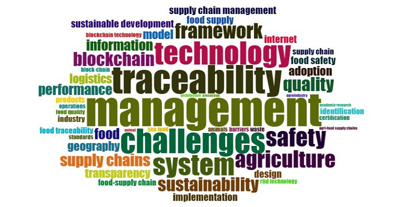 Word cloud of the BP.