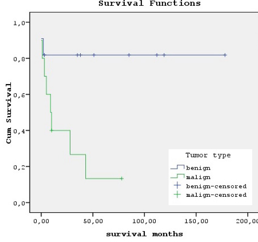 Survival curves of patients with benign non-myxoma (blue) versus
							malign cardiac tumors (green) demonstrate an inferior survival for
							patients with malign tumors (P=0.017).